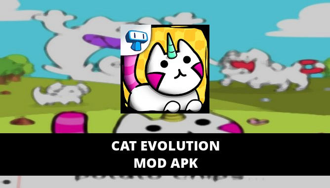 Cat Evolution Featured Cover