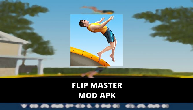 Flip Master Featured Cover