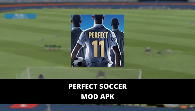 Perfect Soccer Featured Cover