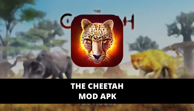 The Cheetah Featured Cover