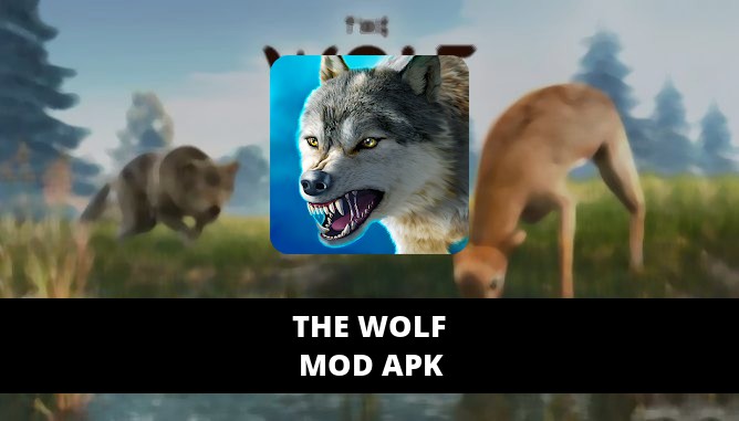 The Wolf Featured Cover