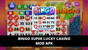 BINGO Super Lucky Casino Featured Cover