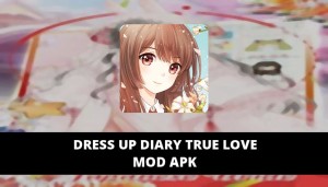 Dress Up Diary True Love Featured Cover