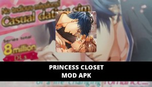 Princess Closet Featured Cover