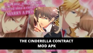 The Cinderella Contract Featured Cover