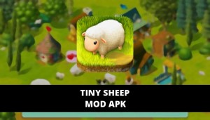 Tiny Sheep Featured Cover
